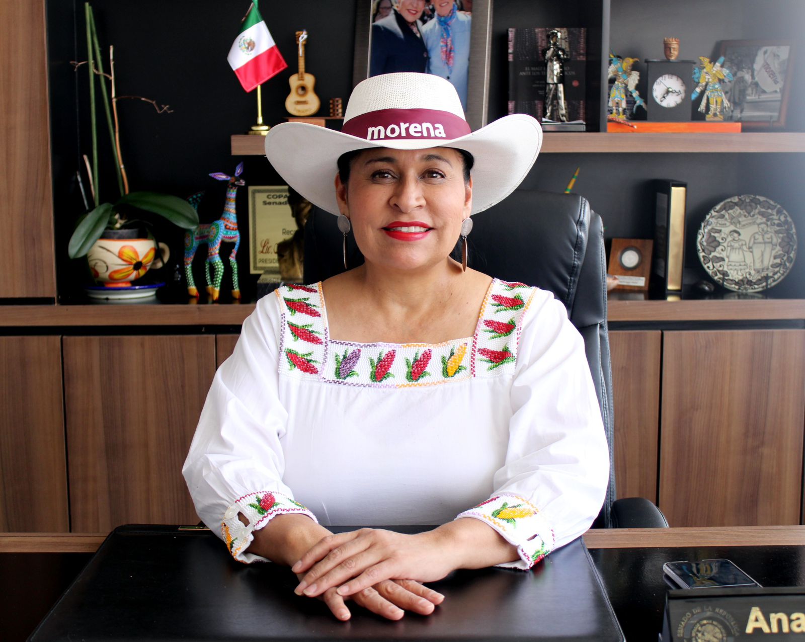 Menos dinero a partidos, más beneficios para la gente: Ana Lilia Rivera